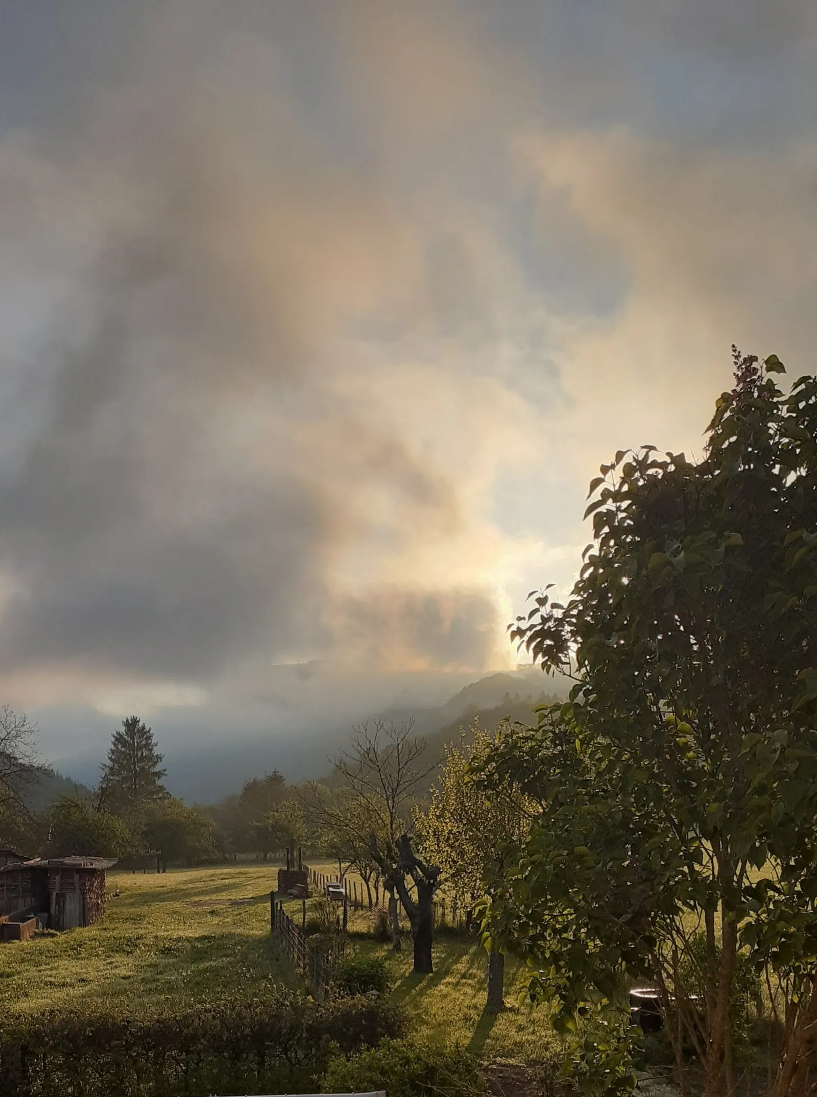 La lumière du matin dans les nuages, au-dessus d’une prairie
