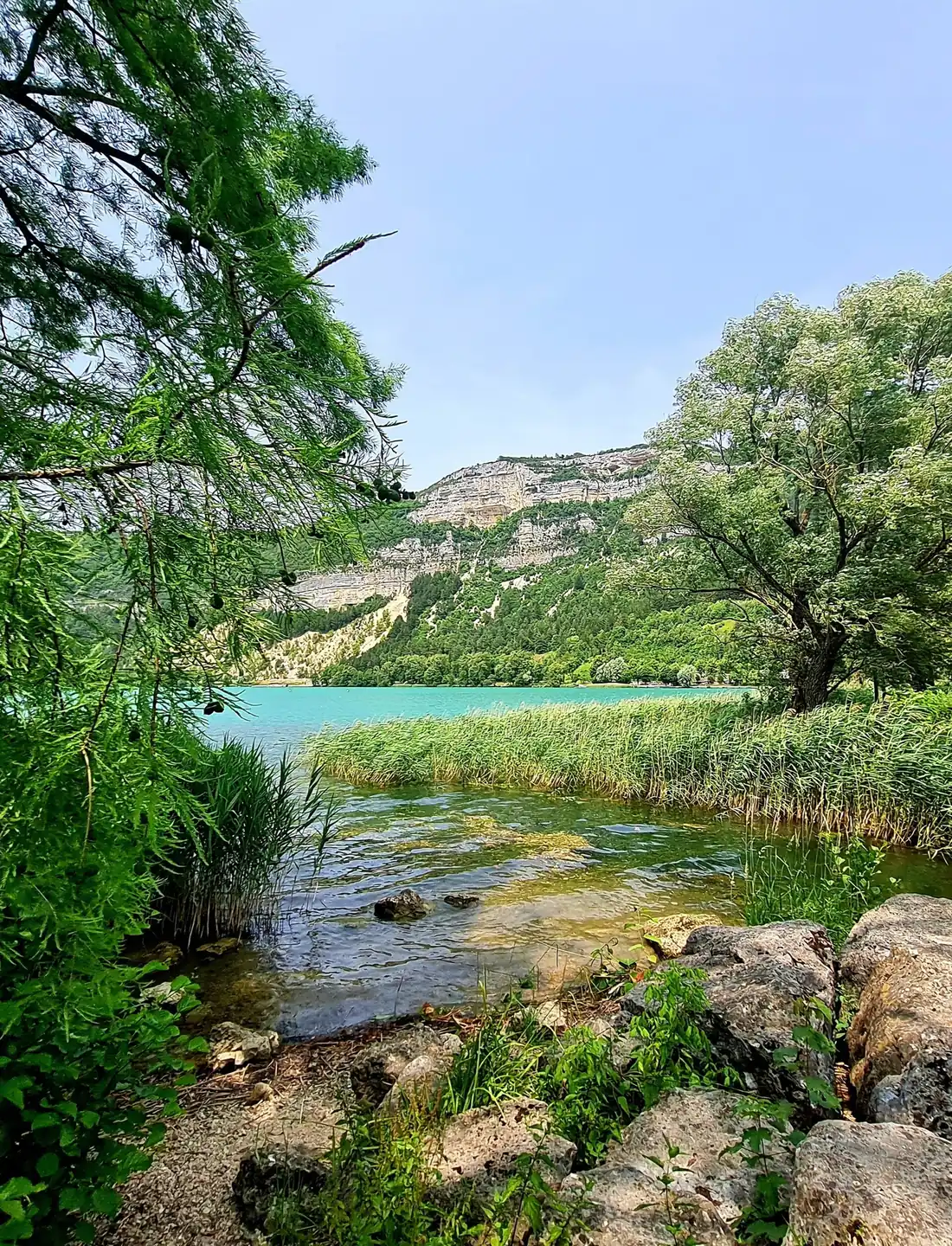Une rivière turquoise entre les arbres, au pied des falaises